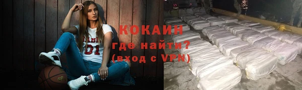 трава Коряжма
