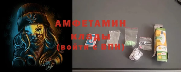 трава Коряжма