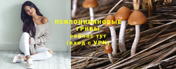стафф Корсаков
