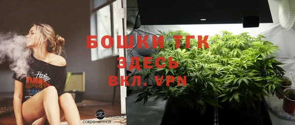 трава Коряжма