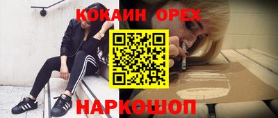 стафф Камышлов