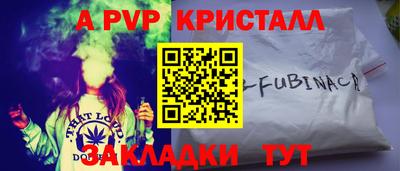 тгк Канаш
