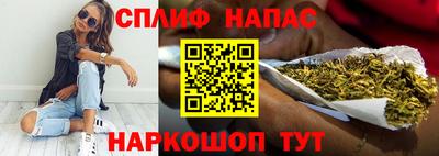 стафф Камышлов