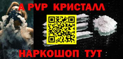 стафф Камышлов