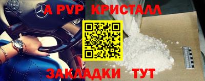 стафф Камышлов