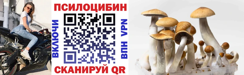 как найти закладки  Кубинка  Псилоцибиновые грибы GOLDEN TEACHER 
