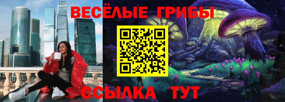 Псилоцибиновые грибы Psilocybe Кубинка